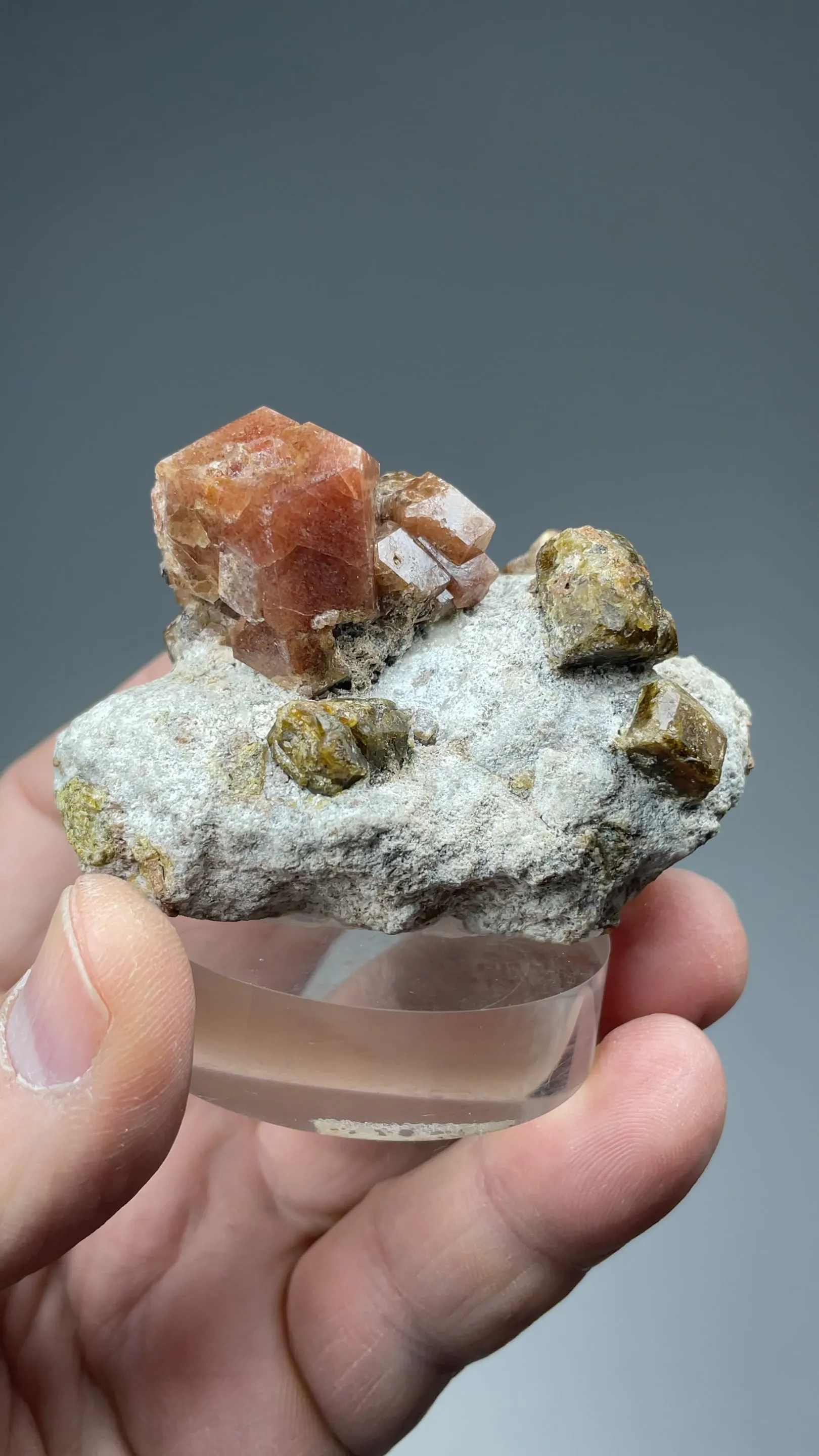Grossular with Vesuvianite - image 2