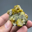 Grossular with Vesuvianite - image 2