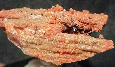 Groutite image