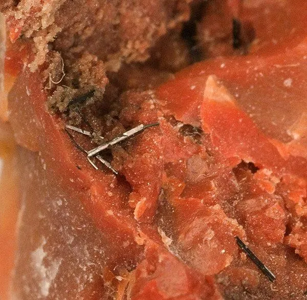 Groutite, Chalcedony (Var: Petrified Wood) - image 2
