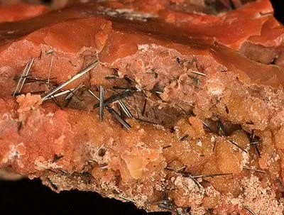Groutite, Chalcedony (Var: Petrified Wood) - image 2