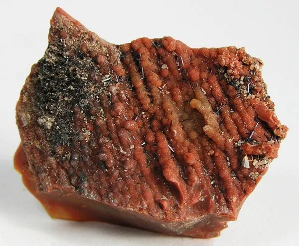Groutite, Chalcedony (Var: Petrified Wood) image