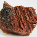Groutite, Chalcedony (Var: Petrified Wood) - image 1