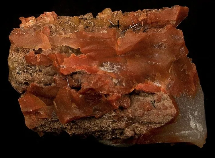 Groutite, Chalcedony (Var: Petrified Wood) image