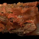 Groutite, Chalcedony (Var: Petrified Wood) - image 1