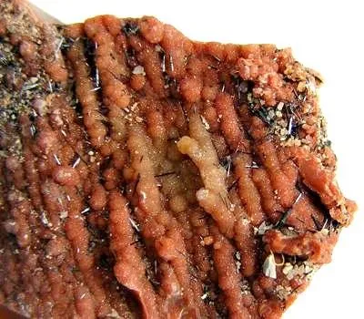 Groutite, Chalcedony (Var: Petrified Wood) - image 2