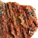 Groutite, Chalcedony (Var: Petrified Wood) - image 2