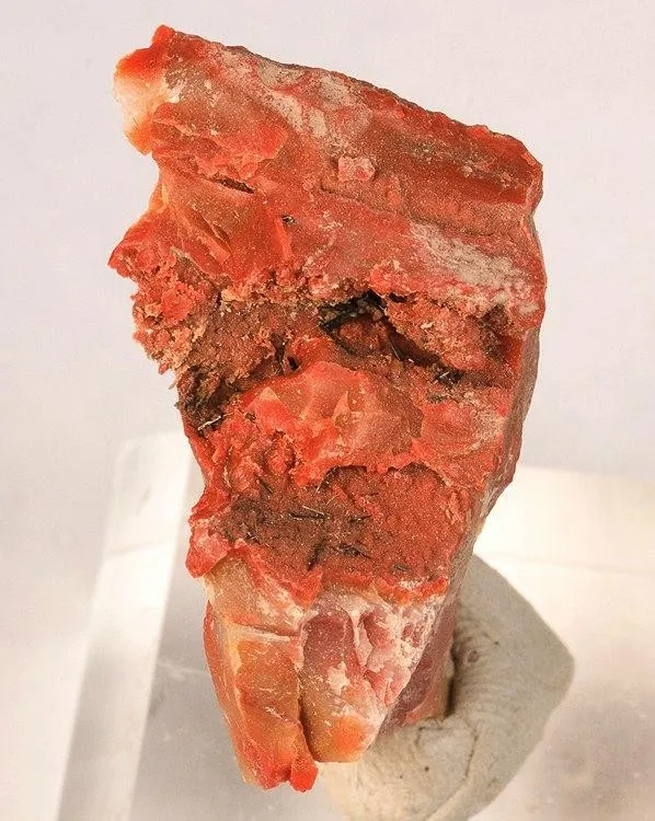 Groutite, Chalcedony (Var: Petrified Wood) image