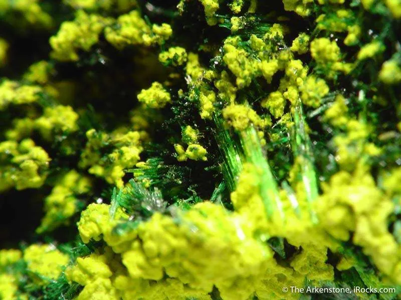 Guillemanite on Cuprosklodowskite - image 2