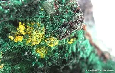 Guilleminite on Malachite - image 2