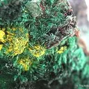 Guilleminite on Malachite - image 2