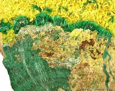 Guilleminite on Malachite - image 2