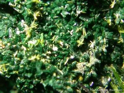 Guilleminite, Vandenbrandeite, on Cuprosklodowskite - image 2