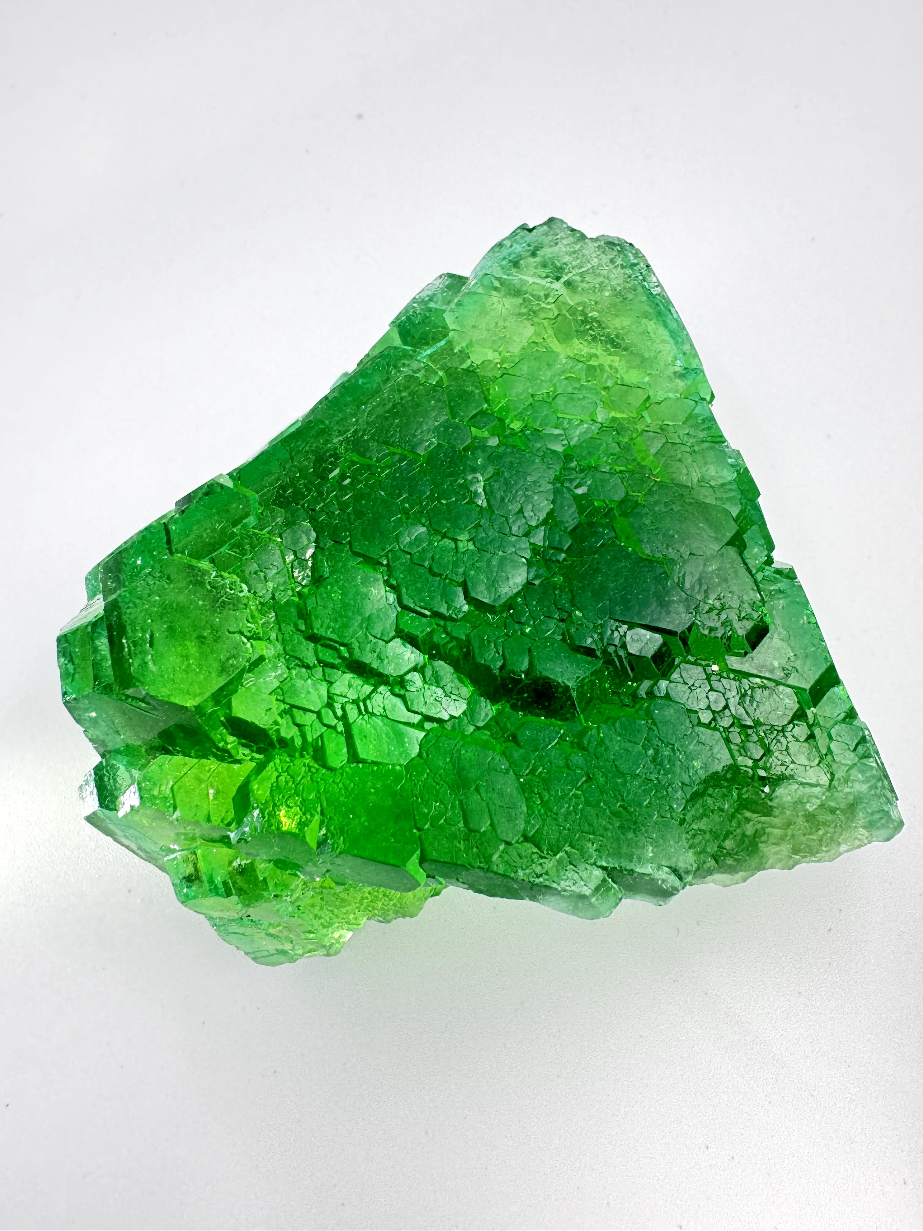 gummy bear fluorite - image 3