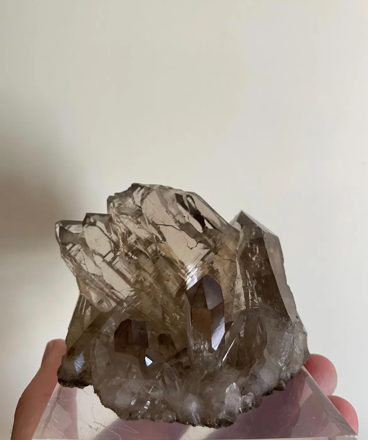 Gwindel 2 in Matrix - image 3