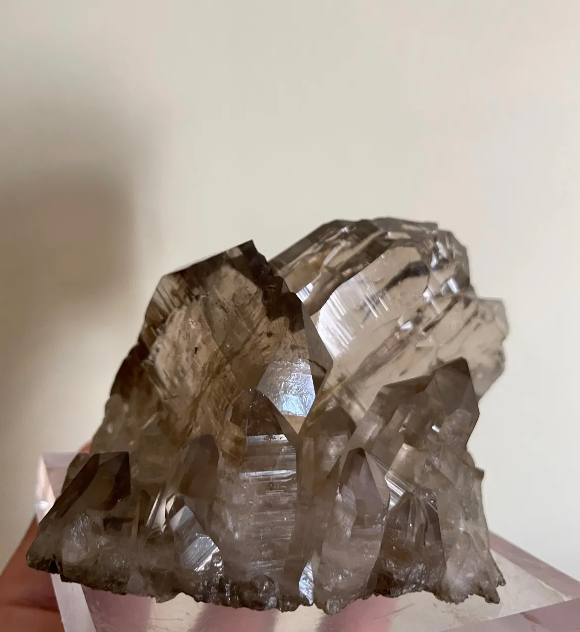 Gwindel 2 in Matrix - image 4