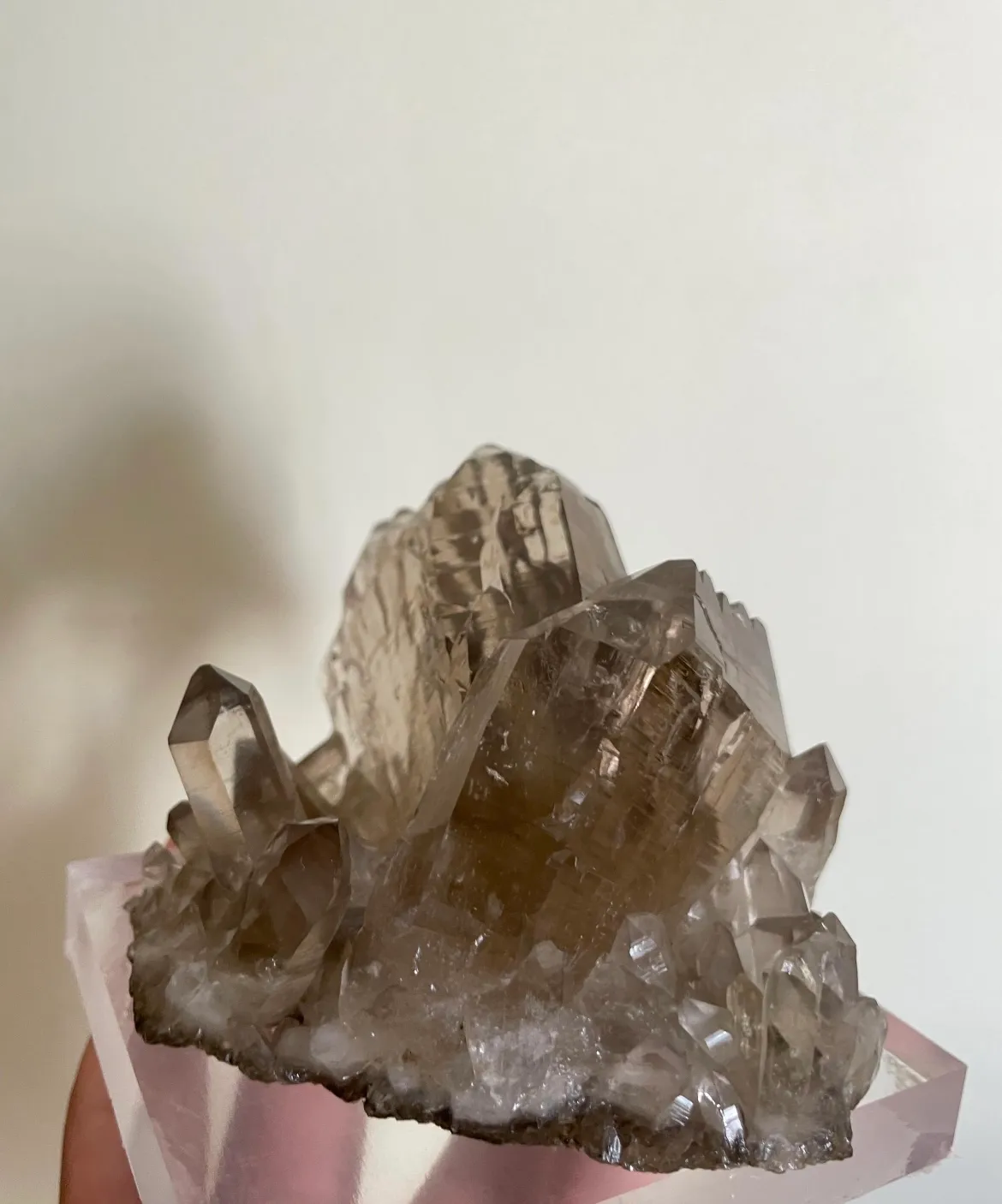 Gwindel 2 in Matrix - image 5