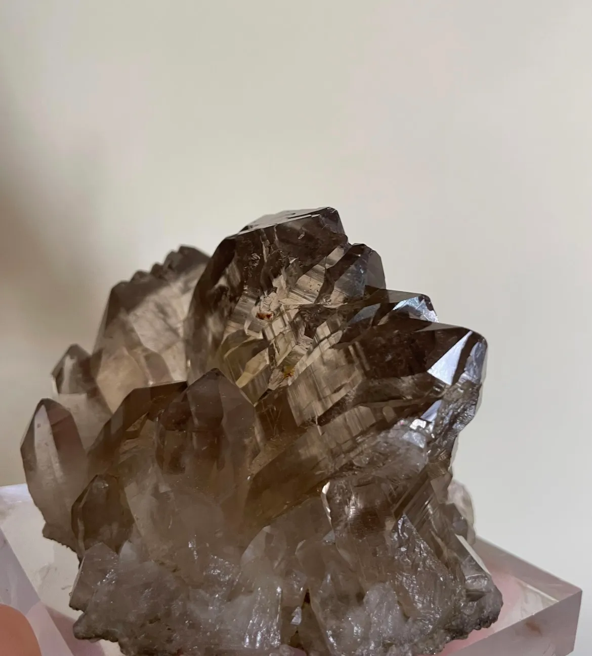 Gwindel 2 in Matrix - image 7