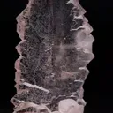 specimen video