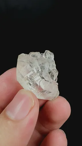specimen video