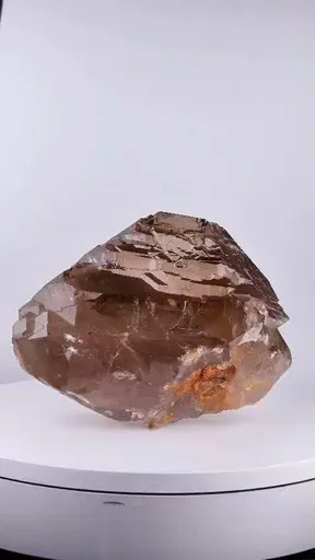 specimen video