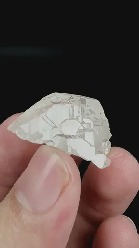specimen video