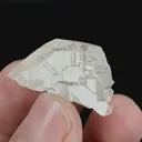 specimen video