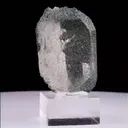 specimen video