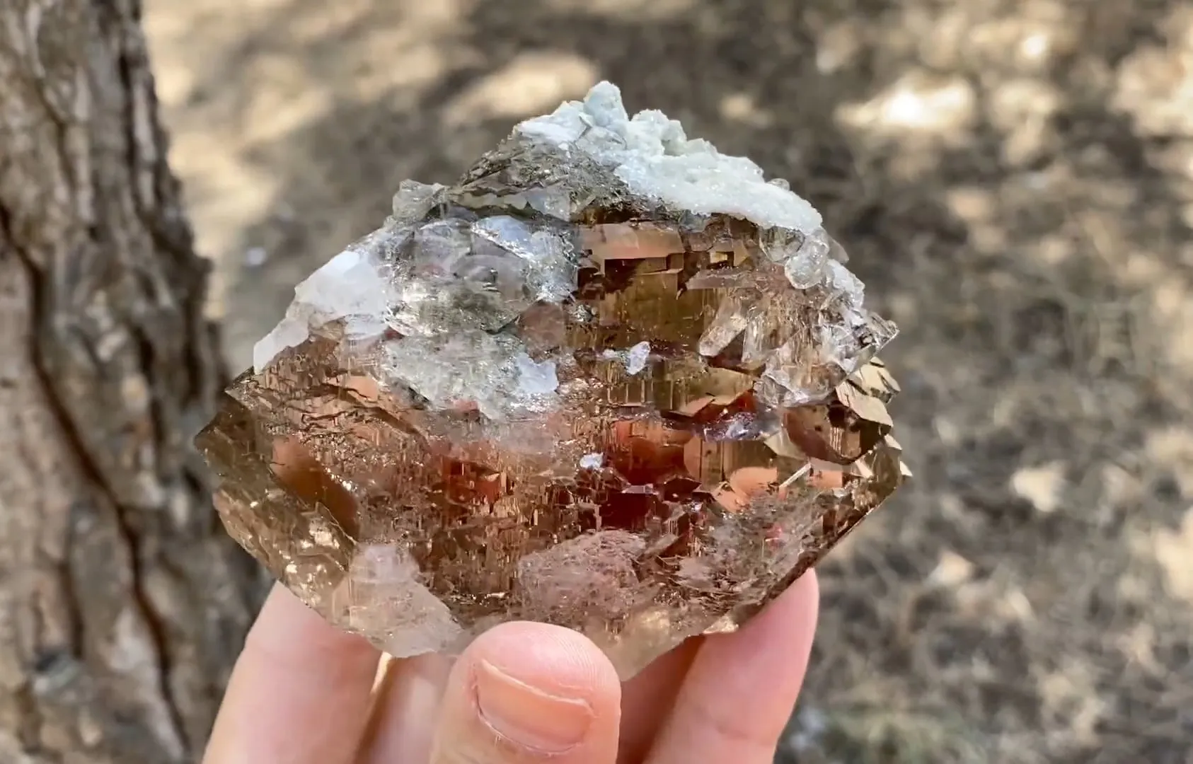 Gwindel Quartz - image 7