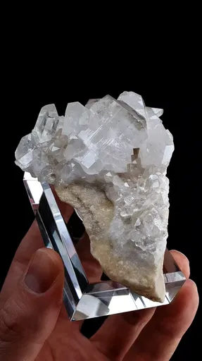 specimen video