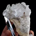 specimen video