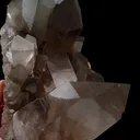specimen video