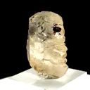 Gwindle quartz from Pakistan - image 5