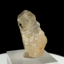 specimen video