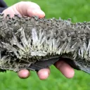 Gypse 1395 grammes - Lubin, Lubin County, Lower Silesian Voivodeship, Pologne - image 10