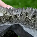 Gypse 1395 grammes - Lubin, Lubin County, Lower Silesian Voivodeship, Pologne - image 9