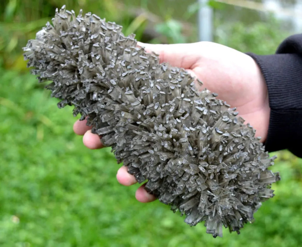 Gypse 1395 grammes - Lubin, Lubin County, Lower Silesian Voivodeship, Pologne image