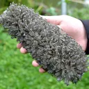 Gypse 1395 grammes - Lubin, Lubin County, Lower Silesian Voivodeship, Pologne - image 1