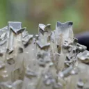 Gypse 1395 grammes - Lubin, Lubin County, Lower Silesian Voivodeship, Pologne - image 6