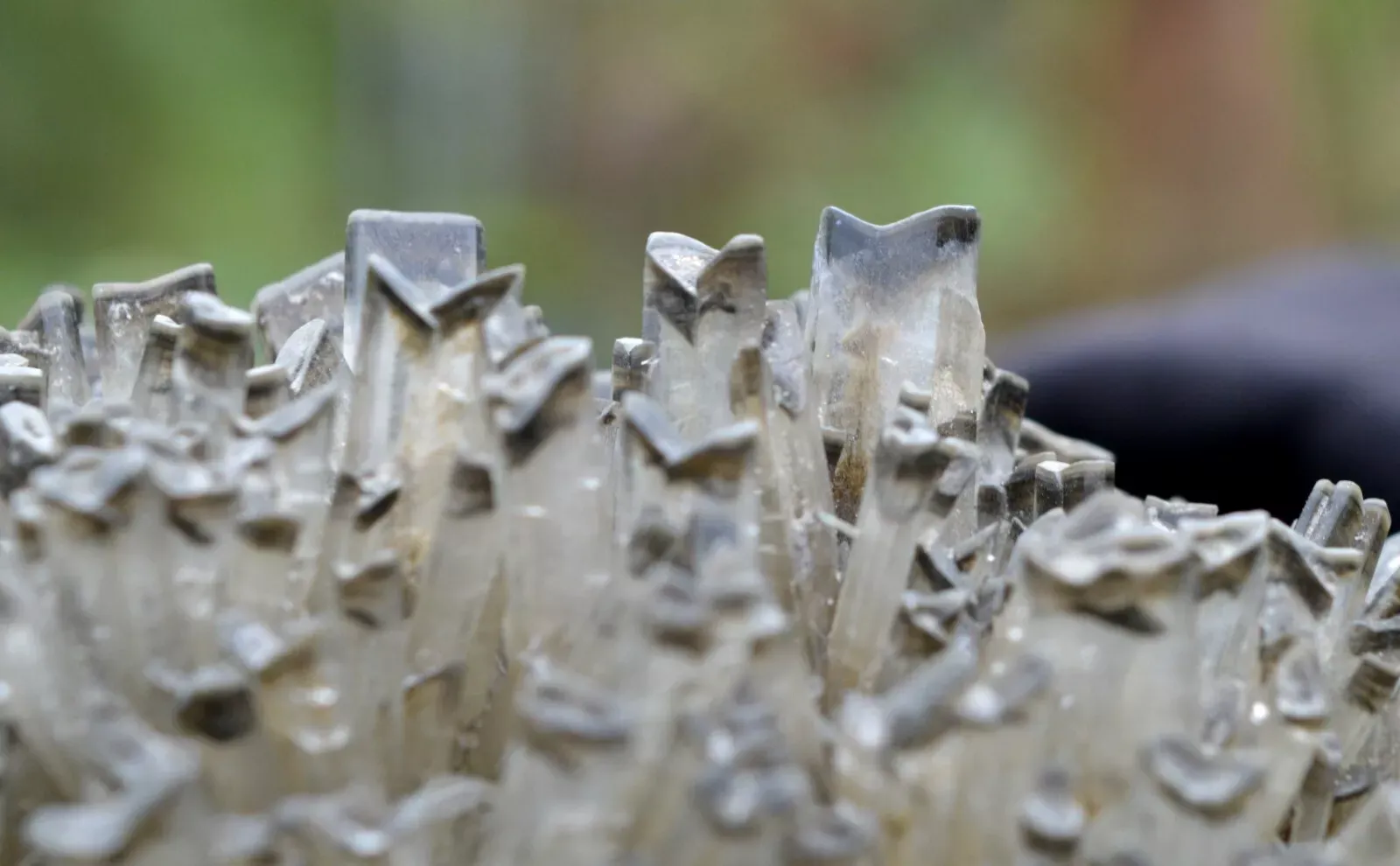 Gypse 1395 grammes - Lubin, Lubin County, Lower Silesian Voivodeship, Pologne - image 6