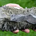 Gypse 1395 grammes - Lubin, Lubin County, Lower Silesian Voivodeship, Pologne - image 8