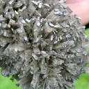 Gypse 1395 grammes - Lubin, Lubin County, Lower Silesian Voivodeship, Pologne - image 4