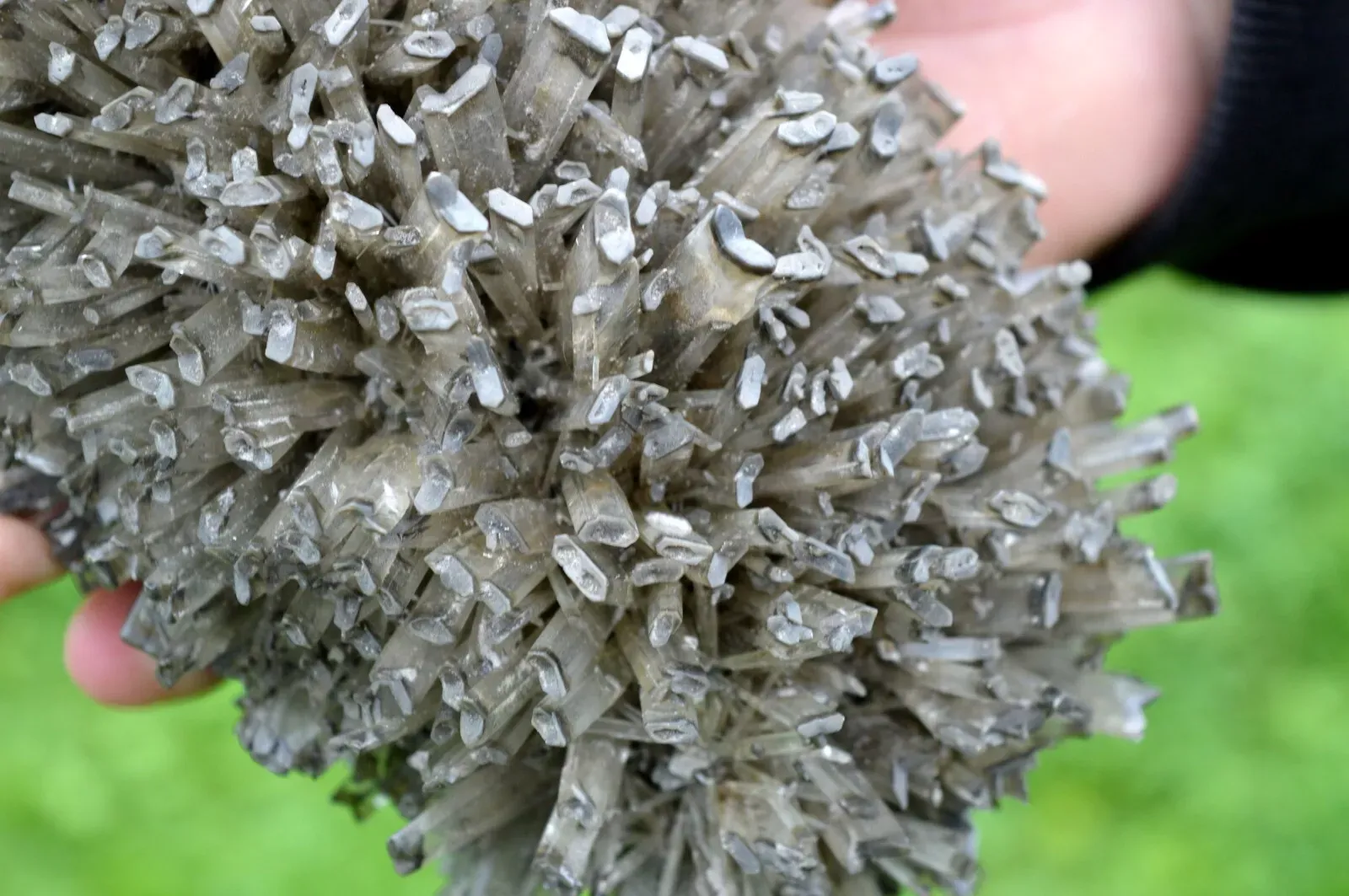 Gypse 1395 grammes - Lubin, Lubin County, Lower Silesian Voivodeship, Pologne - image 4