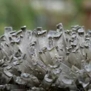 Gypse 1395 grammes - Lubin, Lubin County, Lower Silesian Voivodeship, Pologne - image 5