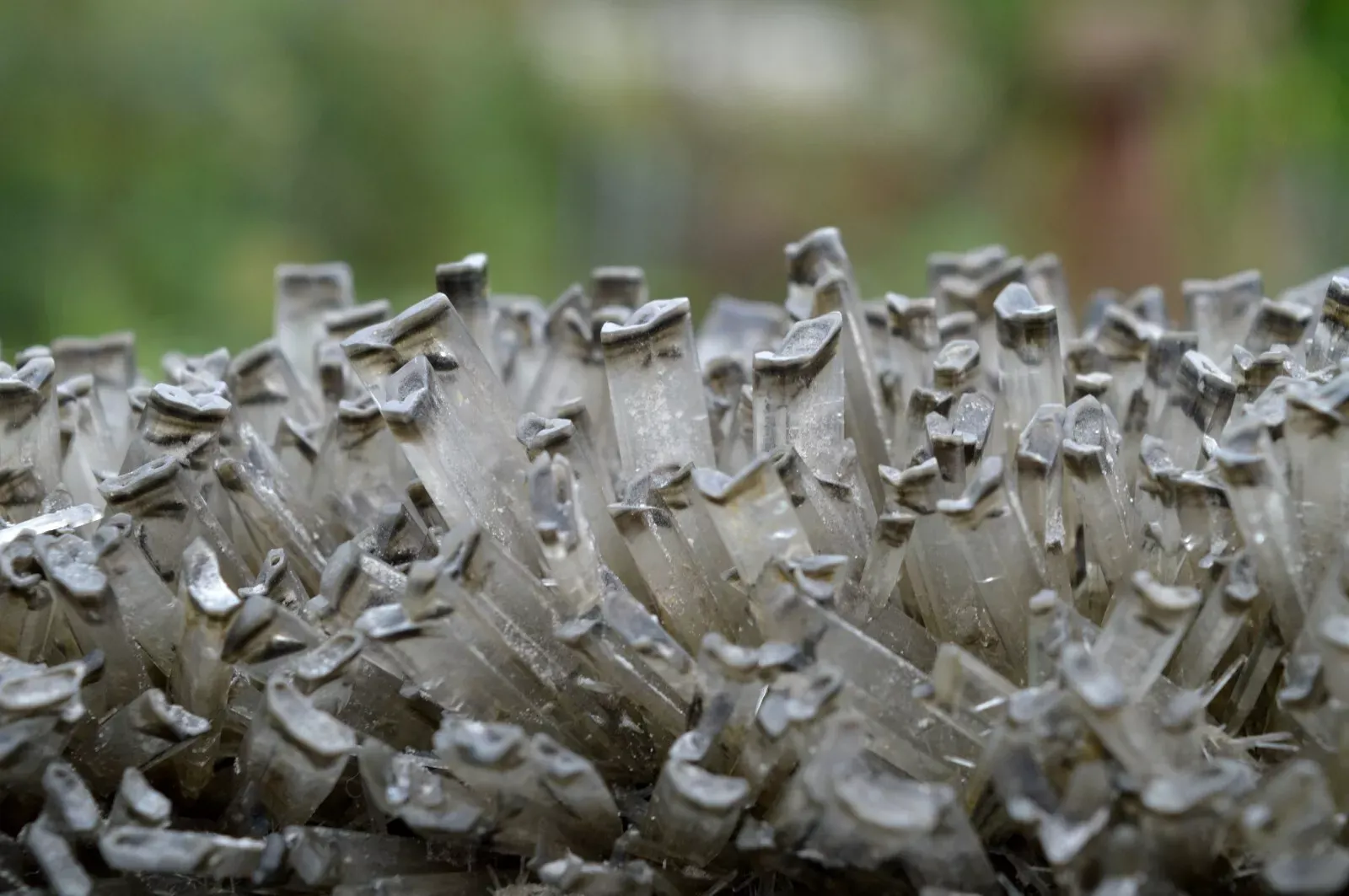 Gypse 1395 grammes - Lubin, Lubin County, Lower Silesian Voivodeship, Pologne - image 5