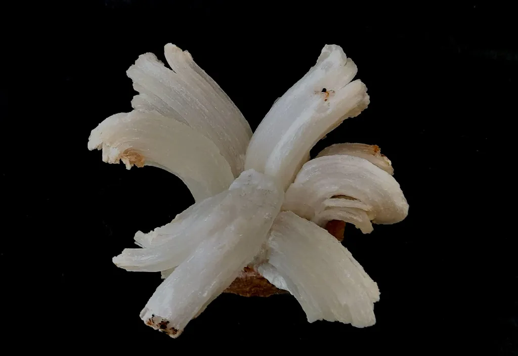 Gypse from Morocco