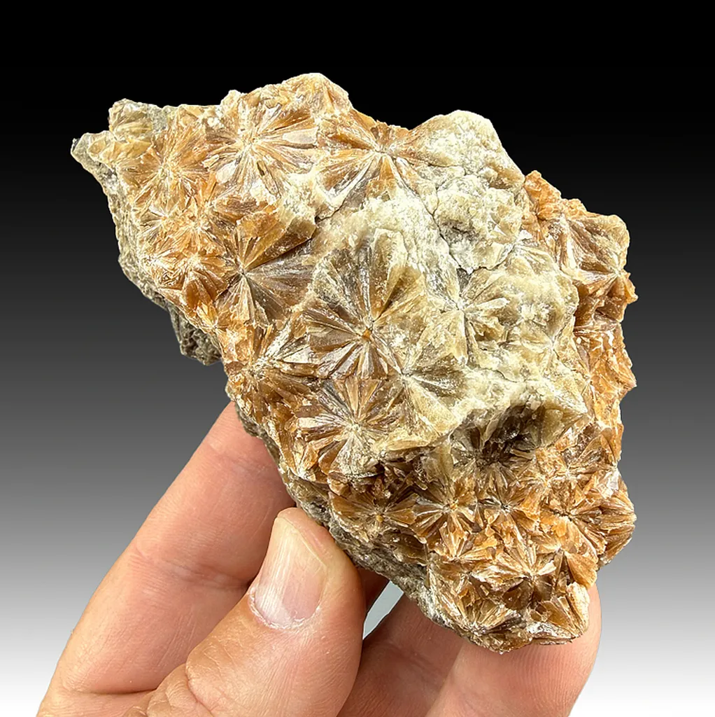 Gypsum image