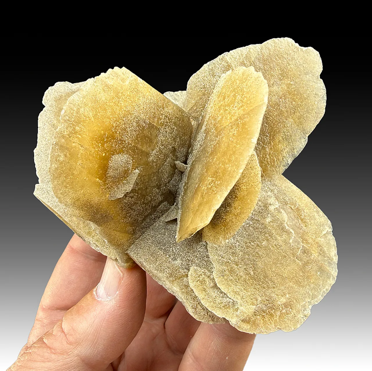 Gypsum - image 1