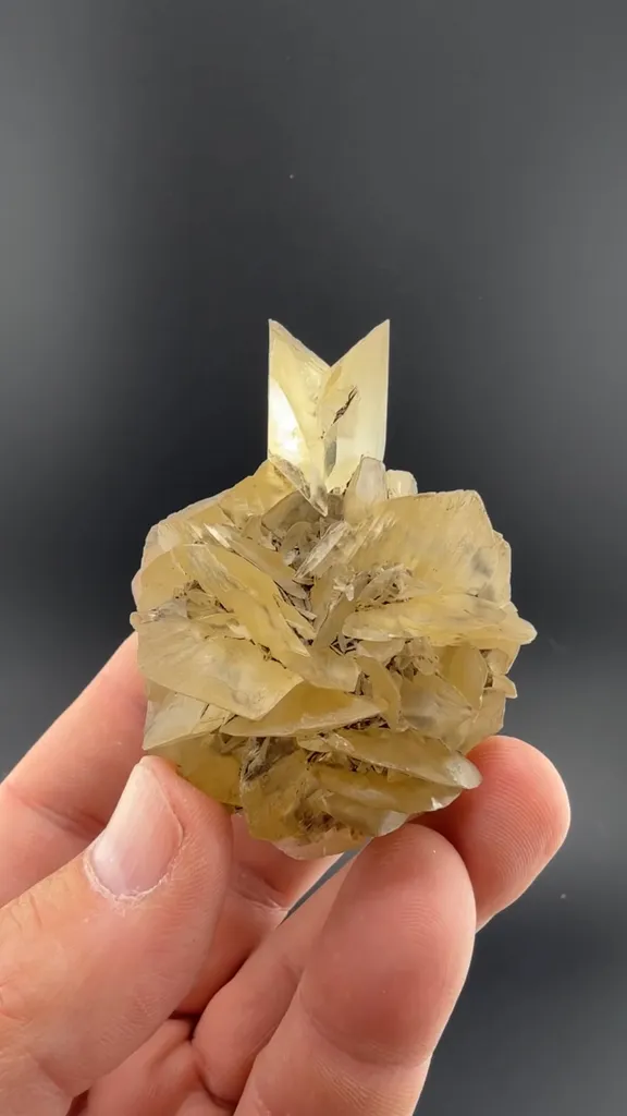 Gypsum image