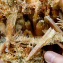 Gypsum 1235 grams - Pernatty Lagoon, Pernatty,  South Australia, Australia - image 9